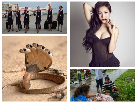 头等舱空姐的收入秘密_空姐的收入