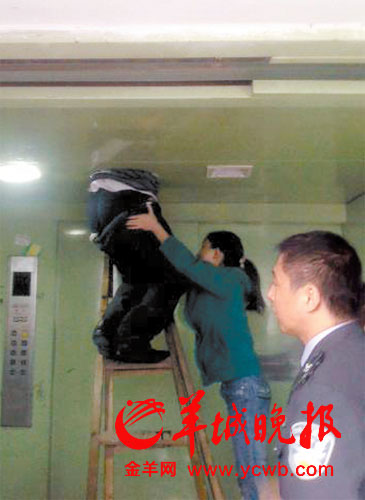 男子偷窃被卡电梯现场 男子偷窃被卡电梯现场