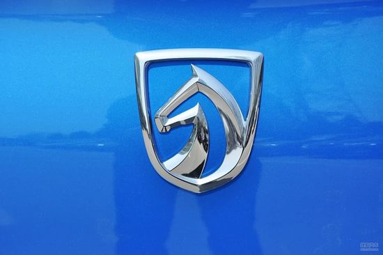 千奇百怪起名经中国式车名营销[组图]