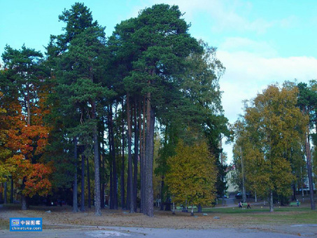 最有男人味十个国家