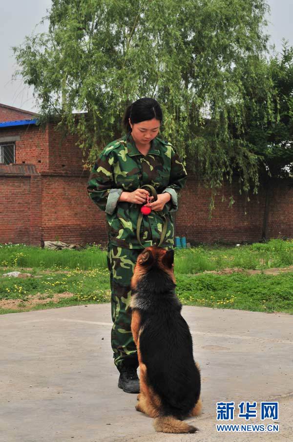 实拍:探访神秘的警犬训练基地