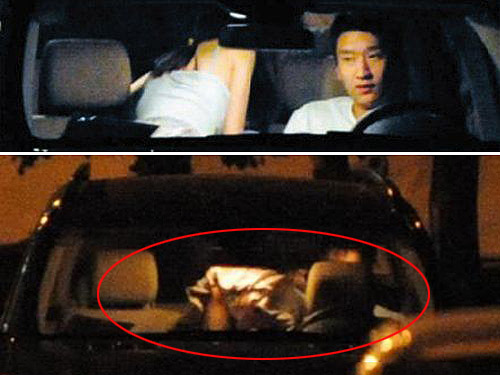 盘点动物乱伦交配:倭黑猩猩淫乱之极_金羊网文