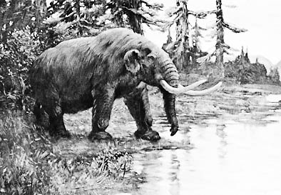北美史前巨兽灭绝无关人类