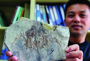 '南京大学科学家发现恐龙死亡之谜：因火山爆发'