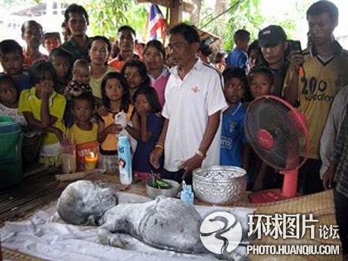 谷歌卫星照片现人影 盘点诡异的外星人事件(图)