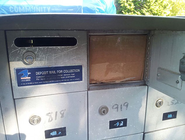 哭笑不得!美网友分享快递包裹迷之存放地