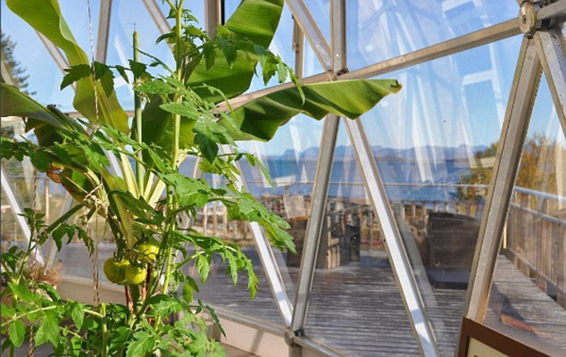 挪威一家人住半球形玻璃罩房子 内部还可种果