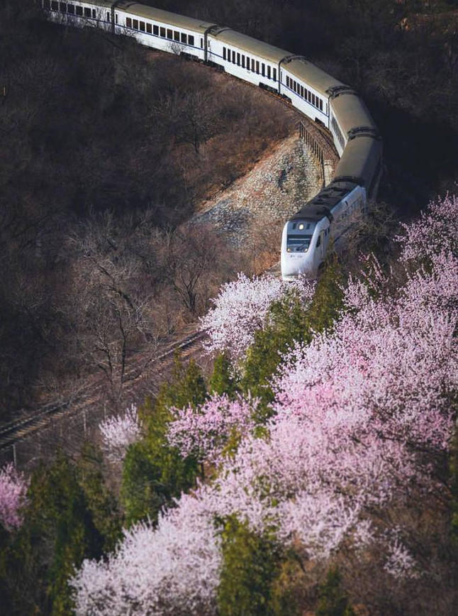 北京居庸关 开往春天的列车来了_金羊网文化