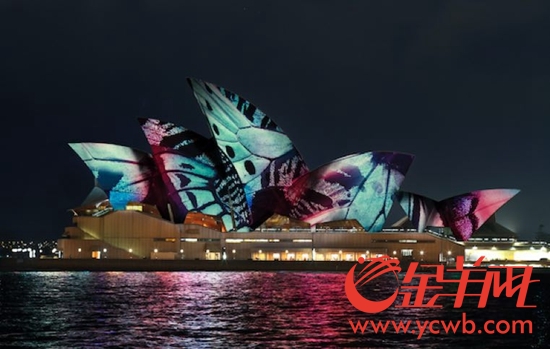 缤纷悉尼灯光音乐节(Vivid Sydney)夜景 缤纷悉尼灯光音乐节(Vivid Sydney)夜景