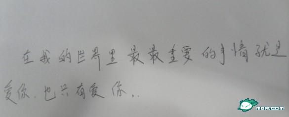 男生女生手写情书示爱(组图)