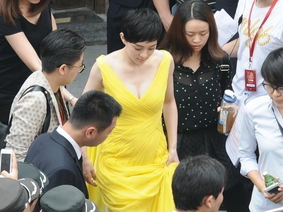 叶璇宠物狗图片