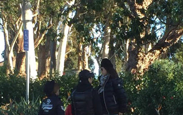  章子怡 孕肚首曝光 汪峰一旁贴心护妻_金羊网 新闻 