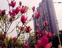 压力过大或<em>用脑过度</em> 孩子也<em>长白发</em>?_金羊网健