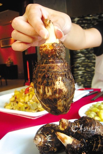 尝鲜地方食材稀罕物 - 金羊网-华南地区最出色