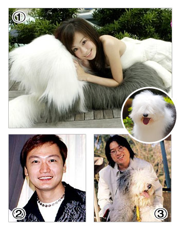 五大从<em>台湾</em>偶像剧中走出来的狗明星