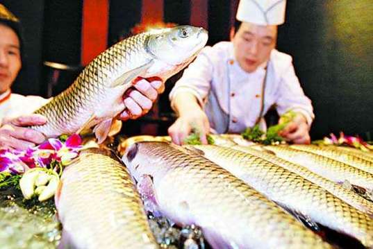 揭秘:鱼身上最有营养的几大部位(图)