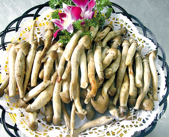 夏日滋味清补凉