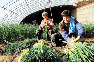 善用汤水,防治感冒