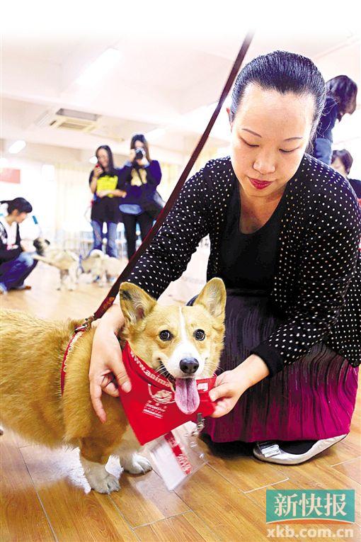 收入证明_狗医生收入(2)