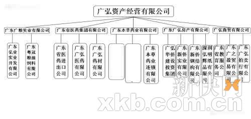 广东国资整合又下一城