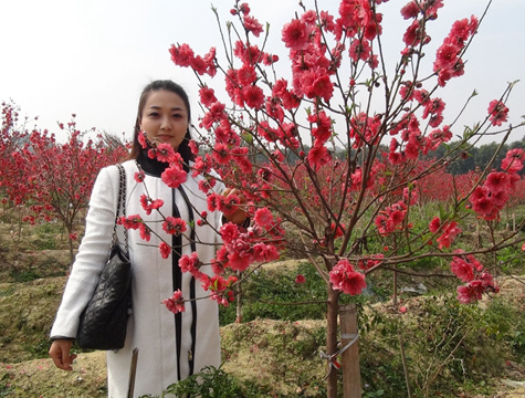 股金|股票入门基础|基金行情查询_金羊网理财