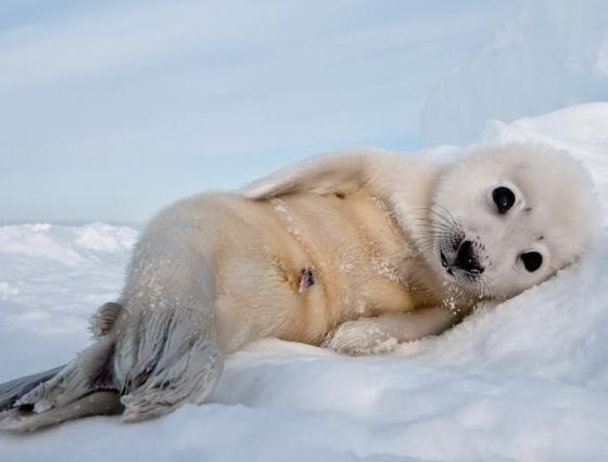 股金|股票入门基础|基金行情查询_金羊网理财