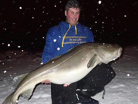 股金|股票入门基础|基金行情查询_金羊网理财