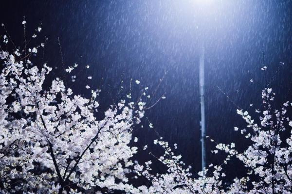 股金|股票入门基础|基金行情查询_金羊网理财