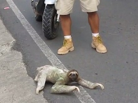 股金|股票入门基础|基金行情查询_金羊网理财