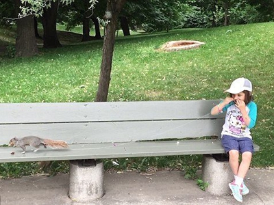 新三板分层首日 创新层成交占六成_金羊网财富