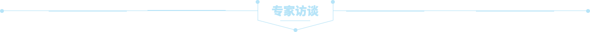 专家访谈