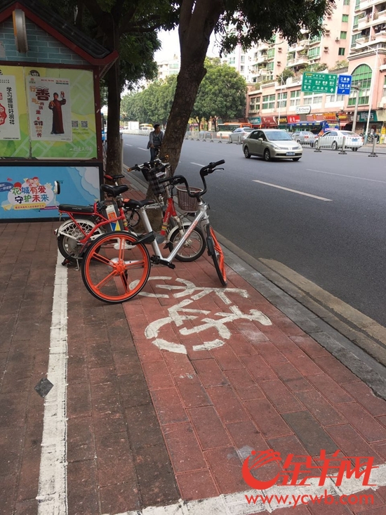 10万共享单车进入广州城 摩拜城市之旅路在何方 10万共享单车进入广州城 摩拜城市之旅路在何方