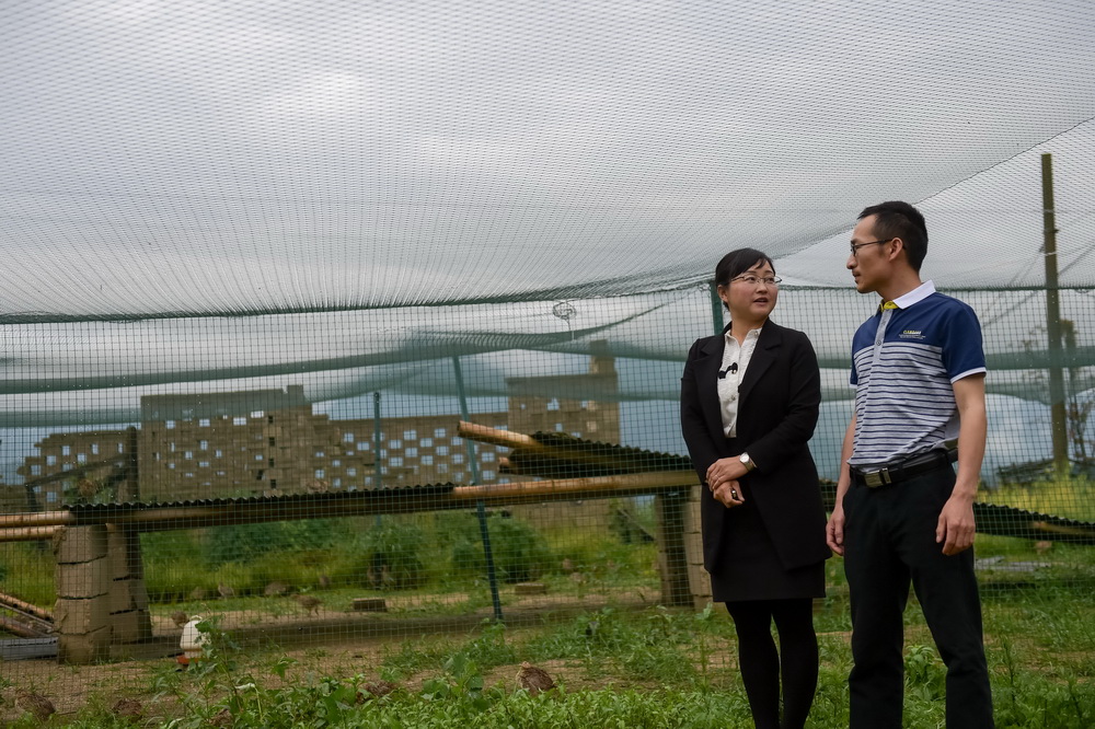 安徽潜山县巍岭乡杨河村第一书记、驻村扶贫工作队长刘和平（左）在杨河村走访帮扶单位针对贫困户开办的养鸡场（5月11日摄）。