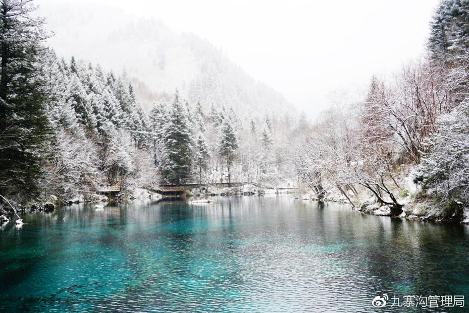 九寨沟迎来入冬第一场雪 晶莹剔透美如仙境