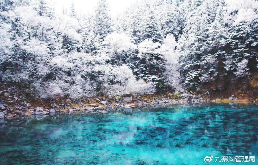 九寨沟迎来入冬第一场雪 晶莹剔透美如仙境