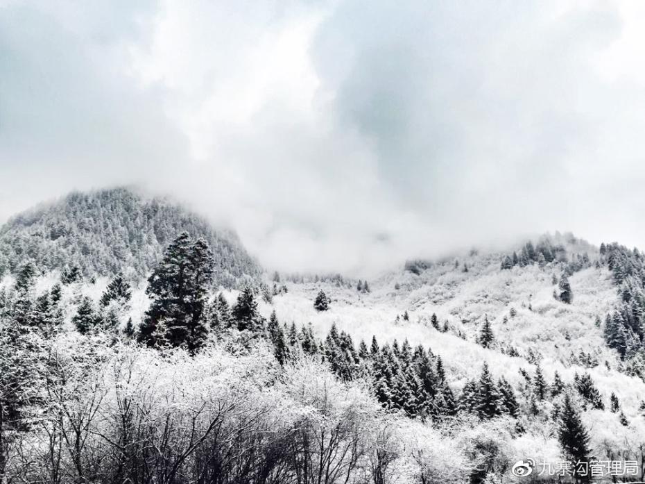 九寨沟迎来入冬第一场雪 晶莹剔透美如仙境