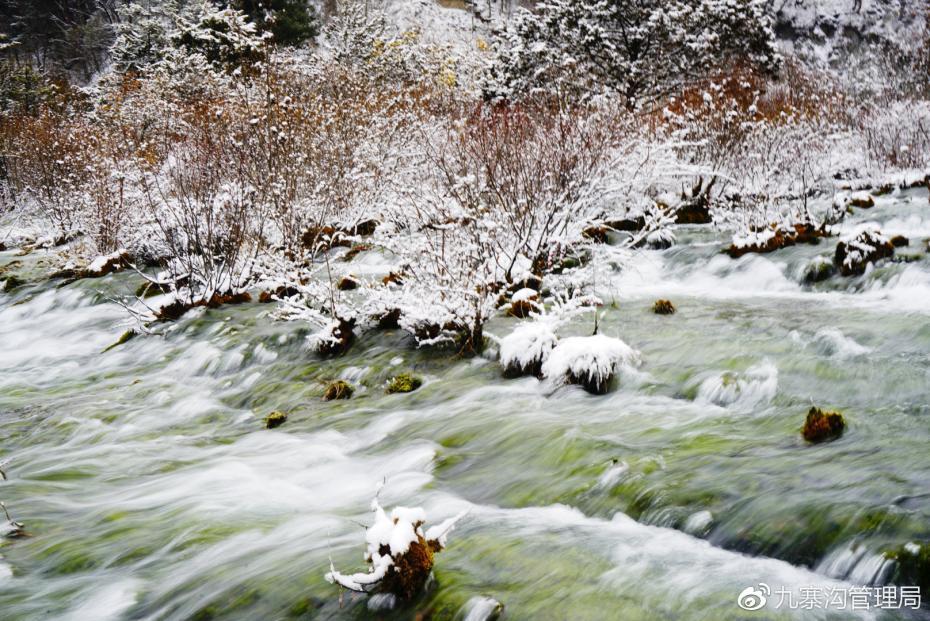 九寨沟迎来入冬第一场雪 晶莹剔透美如仙境