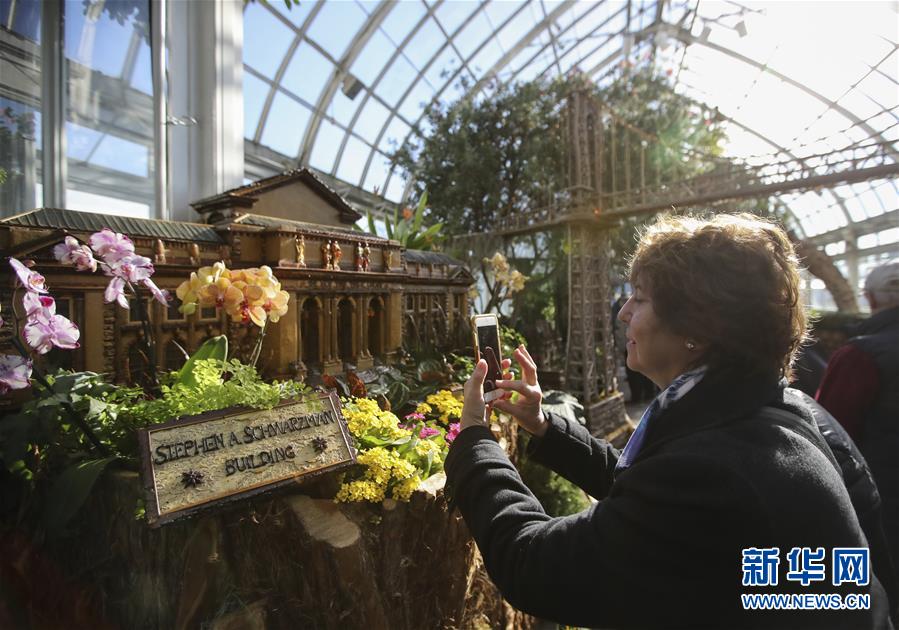 小火车展看“纽约” 植物花叶制作经典地标模型