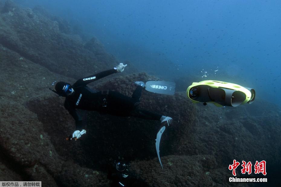 全球首创“潜拍”无人机 可轻松捕捉海底景色