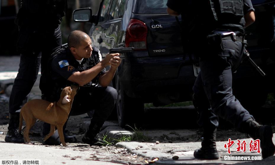 巴西警方贫民区打击毒贩 小狗乱入撒娇求摸摸