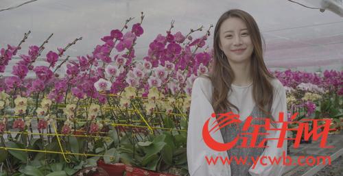 “兰界盛事”3月亮相翁源 将展出万盆兰花,价值超10亿 “兰界盛事”3月亮相翁源 将展出万盆兰花,价值超10亿