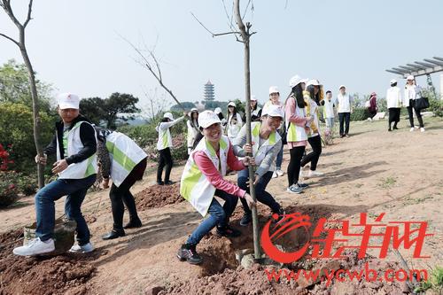 312植树节 南沙不少市民沐浴春风栽种树苗 312植树节 南沙不少市民沐浴春风栽种树苗
