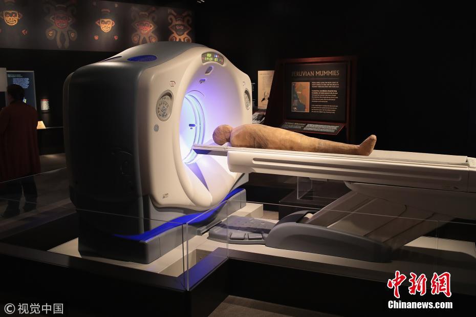 美国博物馆展出大批木乃伊文物 现场进行扫描