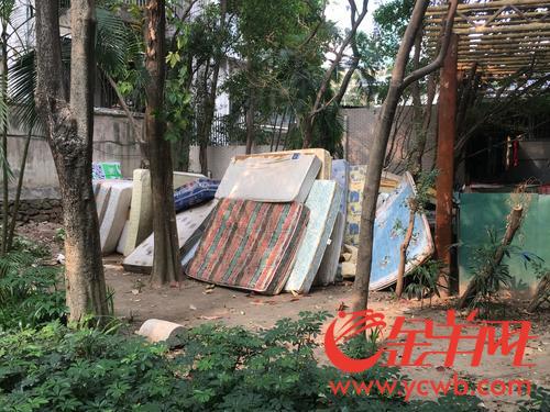 金羊网-华南地区最出色的新闻网站 金羊网-华南地区最出色的新闻网站