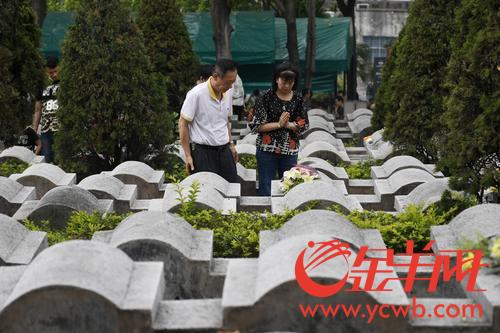 金羊网-华南地区最出色的新闻网站 金羊网-华南地区最出色的新闻网站
