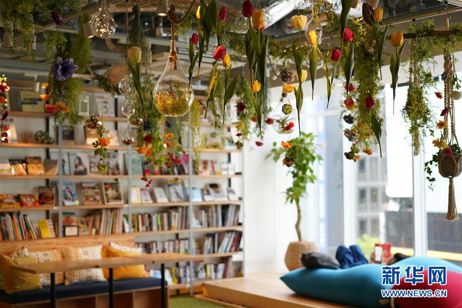 日本茑屋图书公寓：打造一个温馨的“家”
