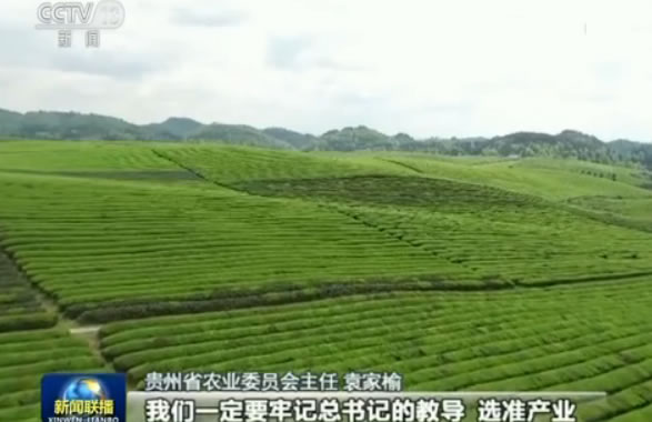 切记总书记向导:贵州“一减一增”推进农业供给侧改善