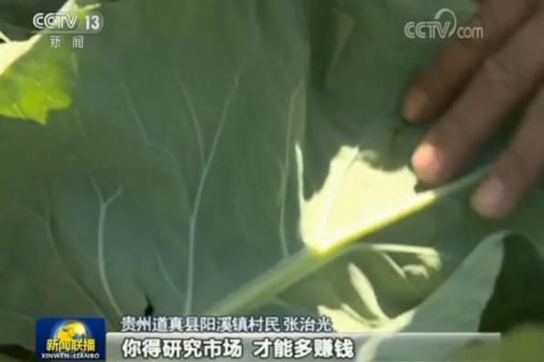 切记总书记向导:贵州“一减一增”推进农业供给侧改善