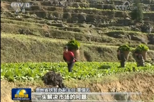 切记总书记向导:贵州“一减一增”推进农业供给侧改善