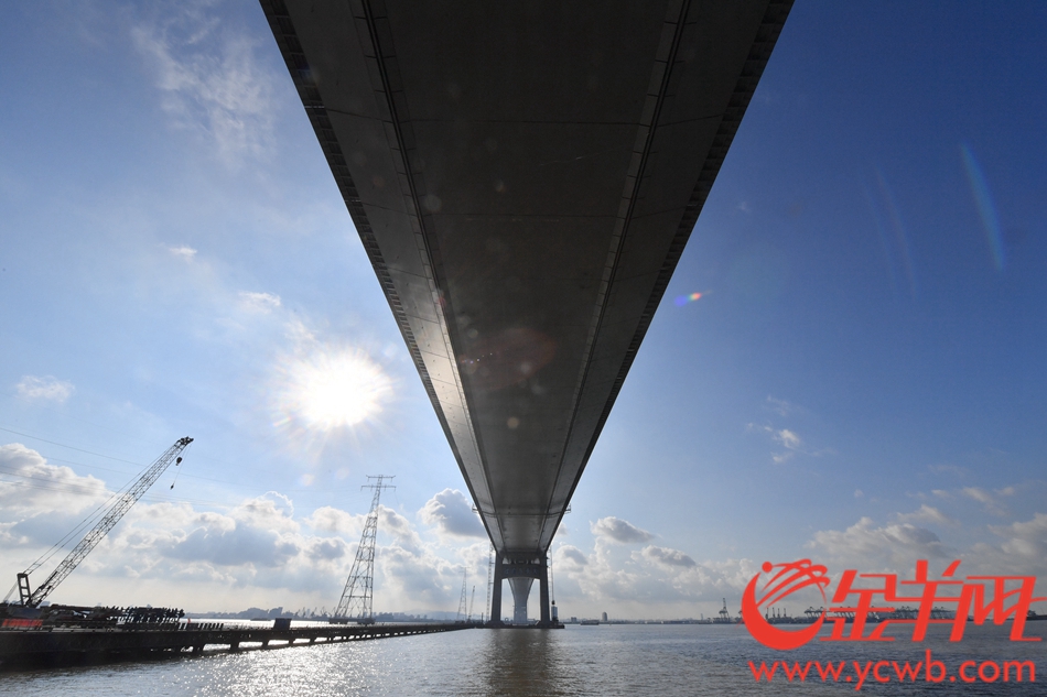 5月25日上午广东虎门二桥坭州水道桥钢箱梁合龙，是虎门二桥的重大工程节点，标志着虎门二桥主桥合龙完成。 金羊网记者 黄巍俊 摄